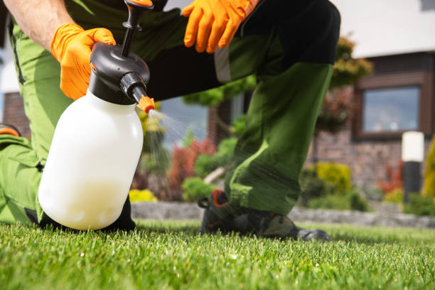 Best Bed Bug Extermination  in Holiday City South, NJ
