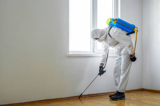 Best Residential Pest Control  in Holiday City South, NJ