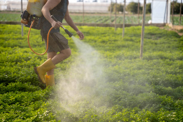 Best Pest Removal Services  in Holiday City South, NJ