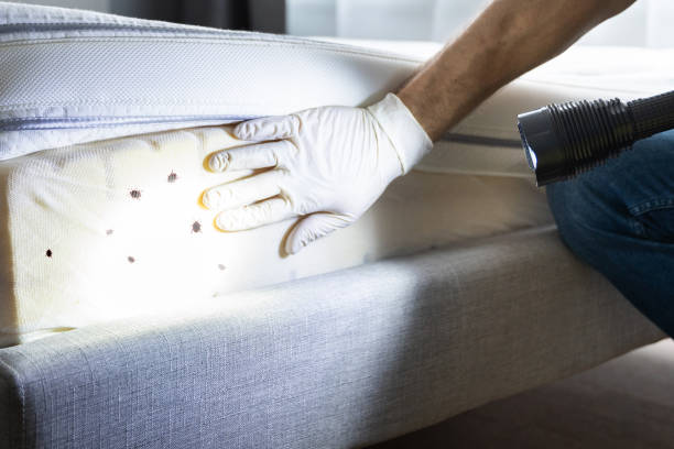 Trusted Holiday City South, NJ Pest Control Experts