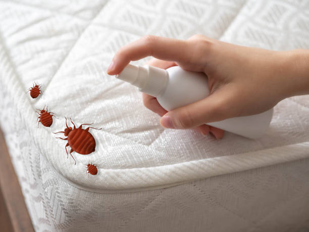 Best Pest Prevention Services  in Holiday City South, NJ