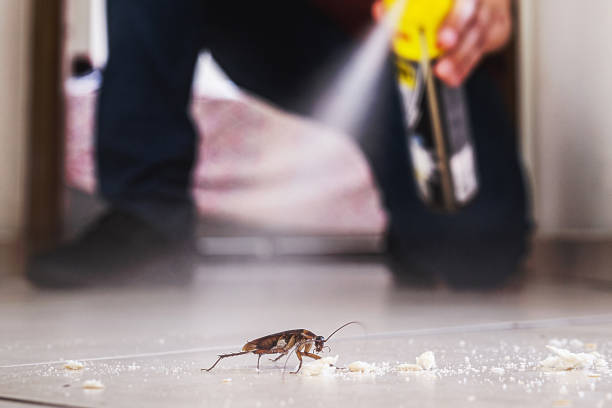 Insect Control in Holiday City South, NJ